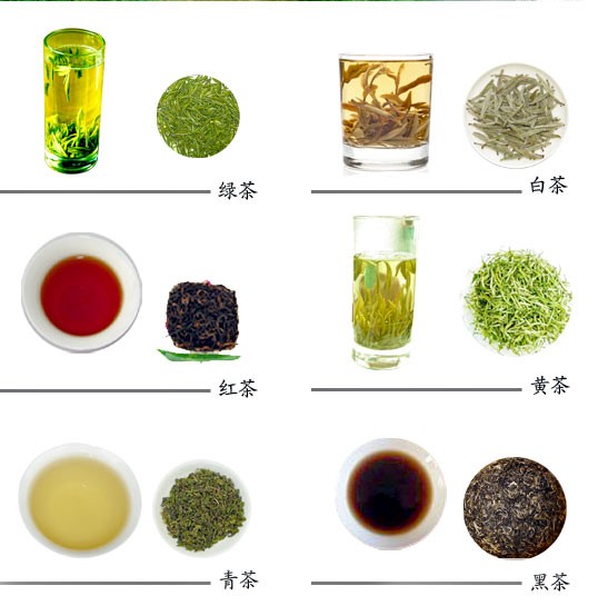 中国茶 | Only語学塾